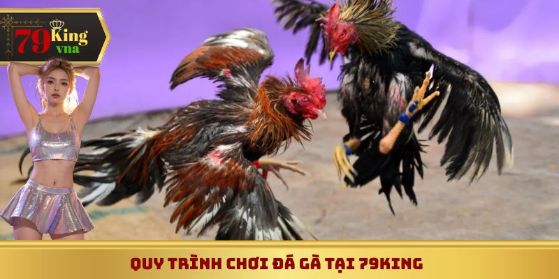 Quy trình tham gia đá gà