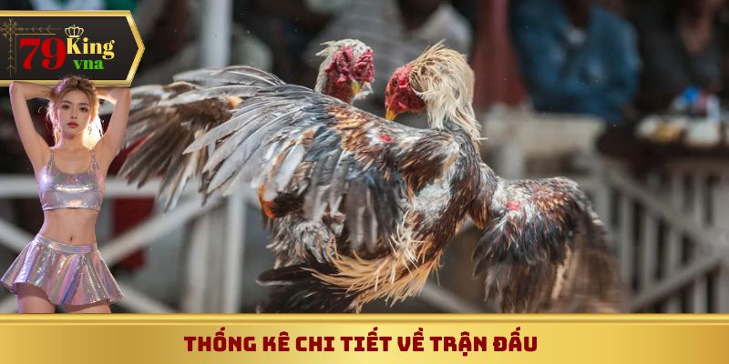 Thống kê chi tiết trận đấu